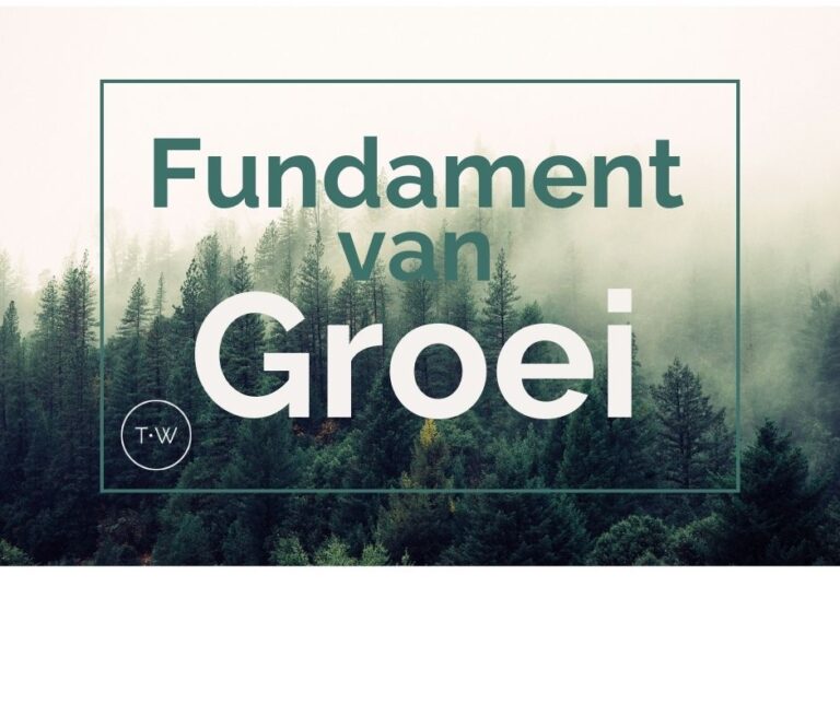 afbeelding fundament van groei 1